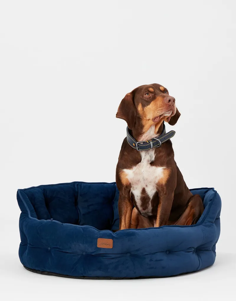Joules Chesterfield Pet Bed Navy-1